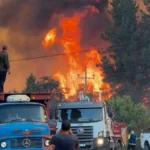 446161-el-fuego-consumio-mas-de-71-300-hectareas-en-chubut-rio-negro-y-neuquen