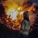 459601-brigadistas-santafesinos-se-destacan-en-combatir-los-incendios